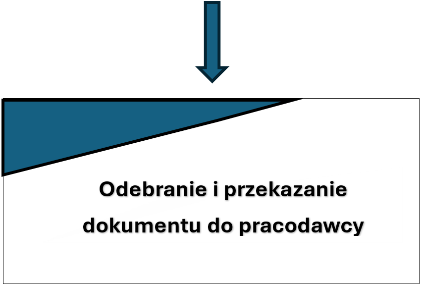 Co wlicza się do stażu pracy? Kompleksowy przewodnik dla pracownika i pracodawcy 4 Odebranie i przekazanie dokumentu do pracodawcy