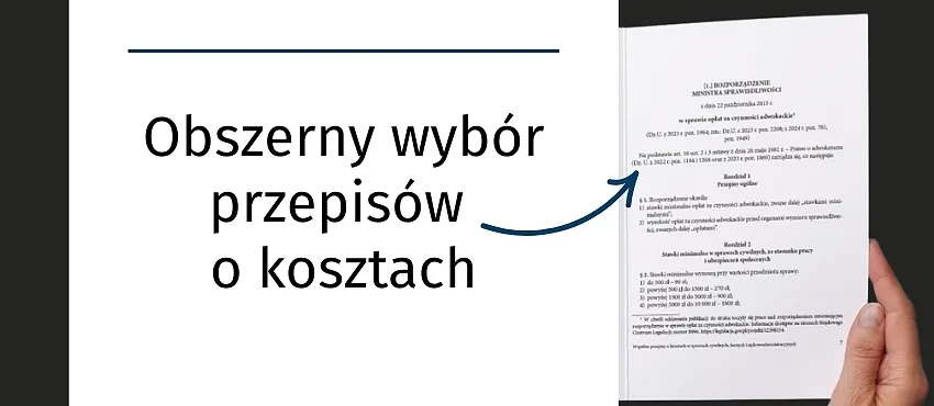 Obszerny wybór przepisów o kosztach