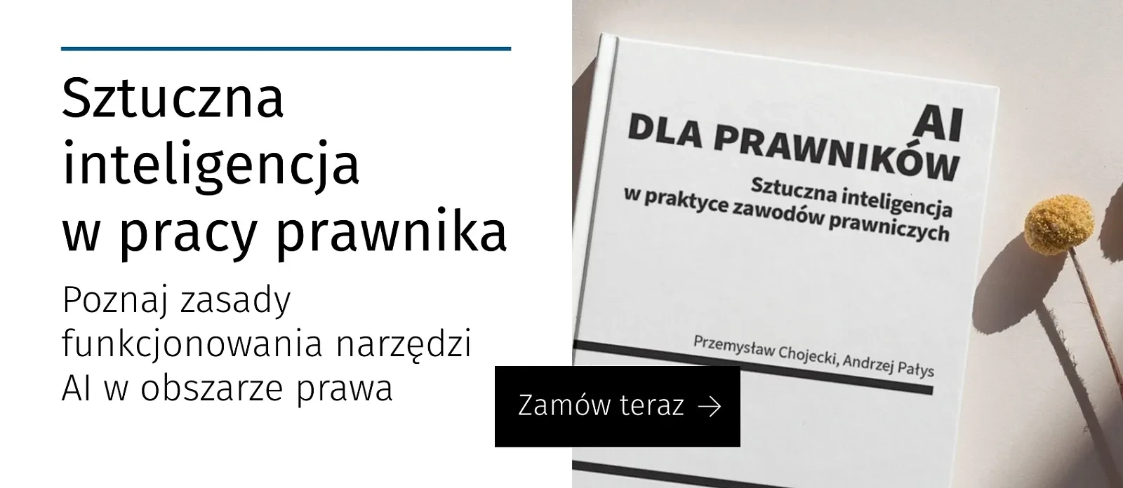 AI dla prawników. Sztuczna inteligencja w praktyce zawodów prawniczych